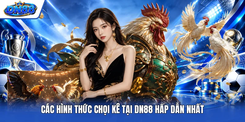 Các hình thức chọi kê tại DN88 hấp dẫn nhất