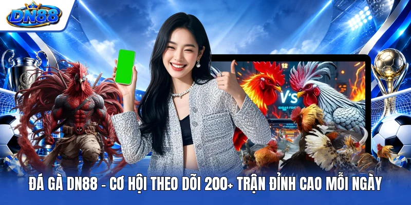 Đá Gà DN88 | Cơ Hội Theo Dõi 200+ Trận Đỉnh Cao Mỗi Ngày