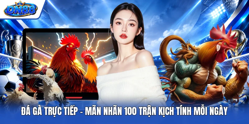 Đá Gà Trực Tiếp - Mãn Nhãn 100 Trận Kịch Tính Mỗi Ngày