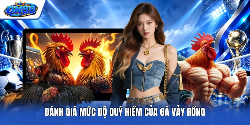 Đánh giá mức độ quý hiếm của gà vảy rồng
