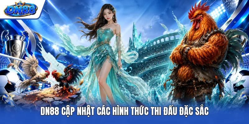 DN88 cập nhật các hình thức thi đấu đặc sắc