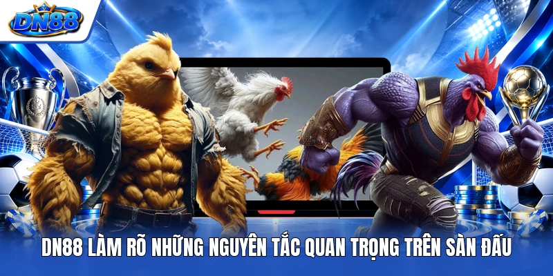 DN88 làm rõ những nguyên tắc quan trọng trên sàn đấu