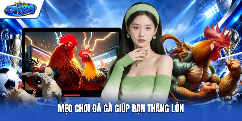 Mẹo chơi đá gà giúp bạn thắng lớn